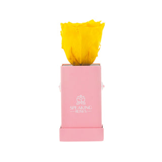 Sovelle XXS  - Romance Collection