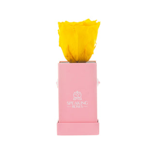 Sovelle XXS  - Happy Birthday Collection