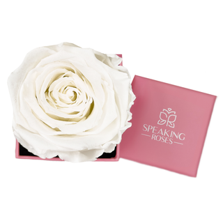 Sovelle XXS - Happy Mother's Day