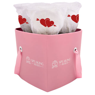 Amoura HS - Cupid Clipart