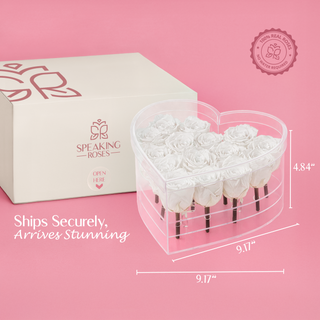 Lumira HO - Valentine's Day Collection