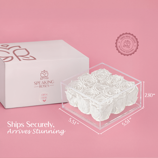 Equoria V09 - Valentine's Day Collection