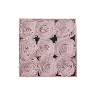 Sovelle OOS  - Square Collection