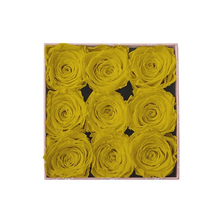 Sovelle OOS  - Square Collection