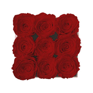 Sovelle OOS  - Square Collection