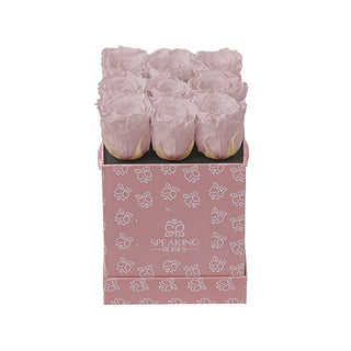 Sovelle OOS  - Square Collection