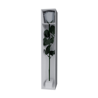 Majestuoso - Funeral Collection