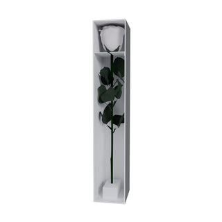 Majestuoso - Funeral Collection